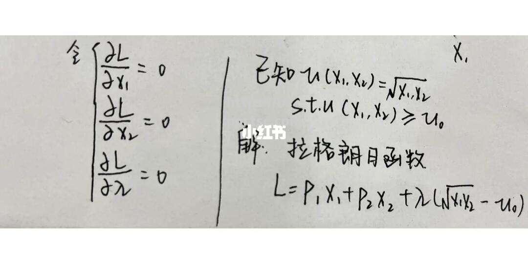 拉格朗日出现持续性阳性拉格满足条件情况的最新研究结果_拉格朗日另一种形式